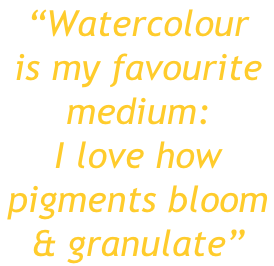 “Watercolour  is my favourite  medium:   I love how  pigments bloom  & granulate”